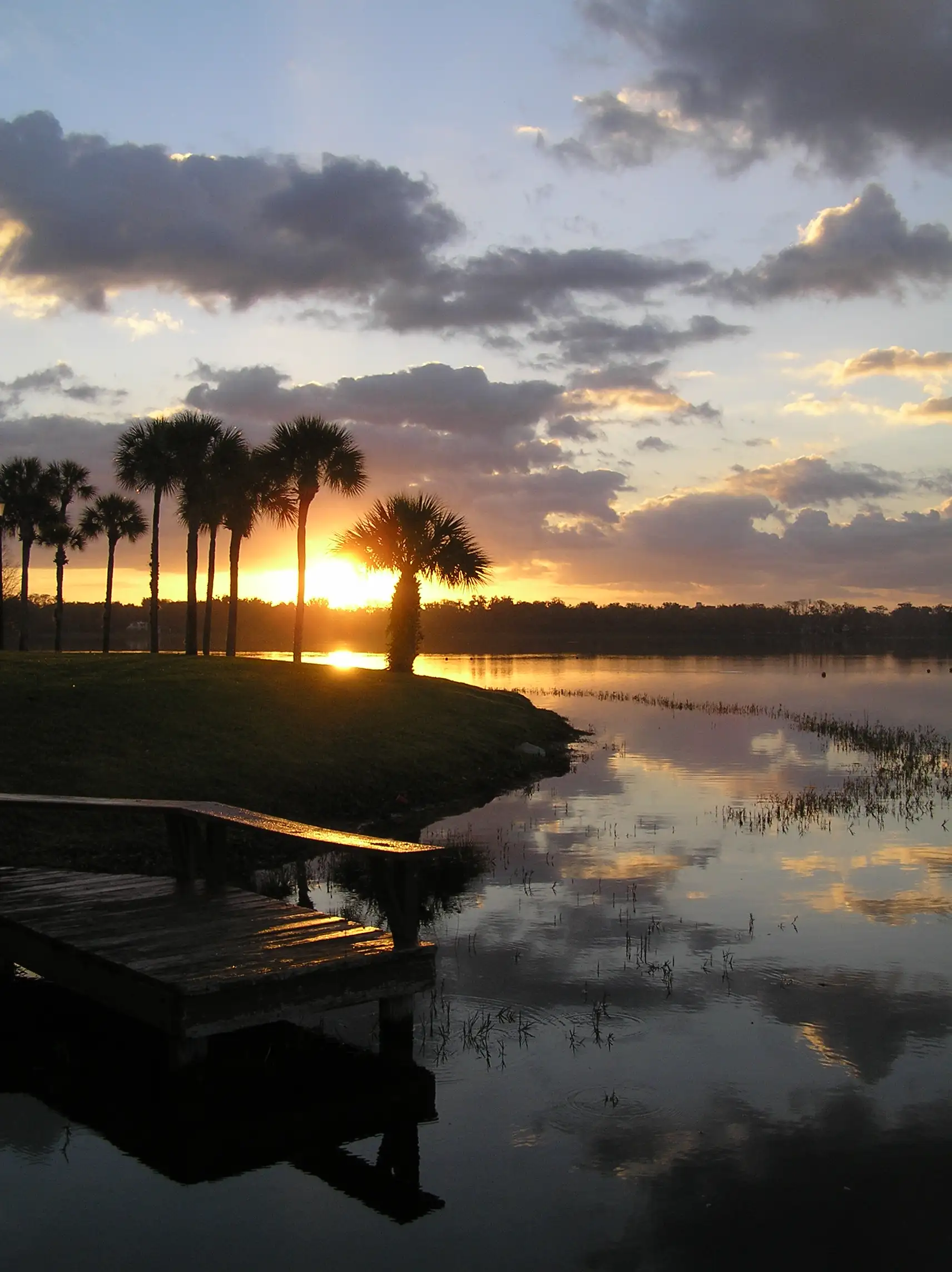 Sunrise over a Winter Park, Florida lake lined with palm trees